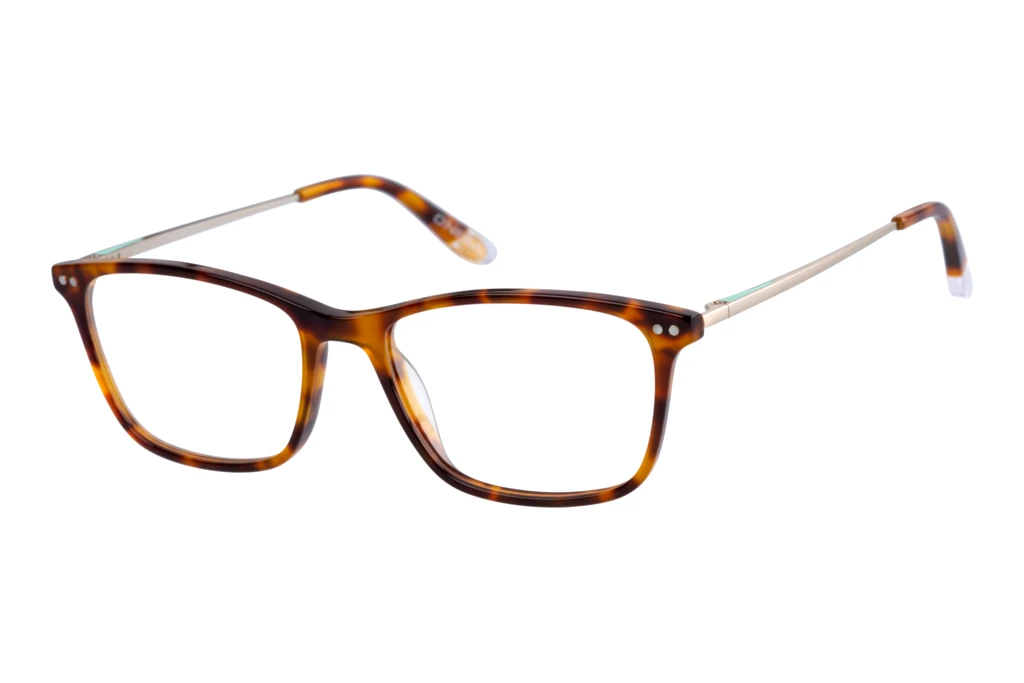 O`Neill   ON 963067 60 Havanna